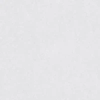 No Panty Line Promise® Lace Half Slip