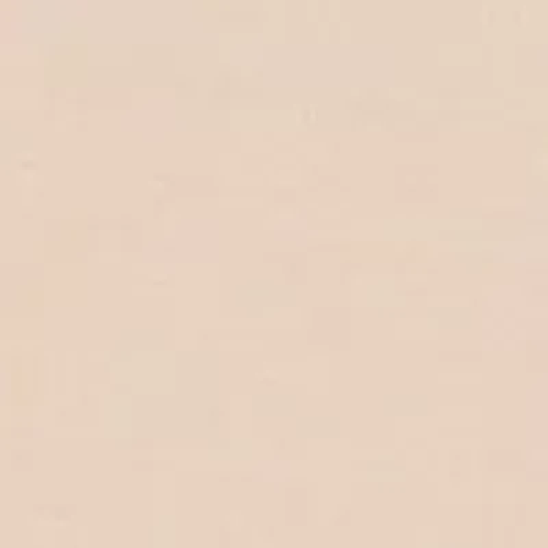 No Panty Line Promise® Lace Half Slip