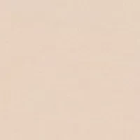No Panty Line Promise® Lace Half Slip