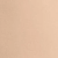 No Panty Line Promise® Tactel® Lace Slip Dress