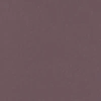 Modern Tactel® Cami