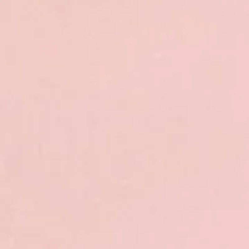 Seam Free Brief Panty