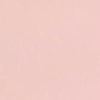 Seam Free Brief Panty