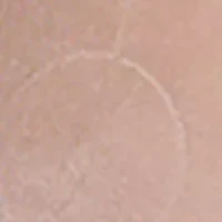 Reusable Waterproof Breast Petals