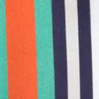 Tropic Stripe Silk Oblong Scarf