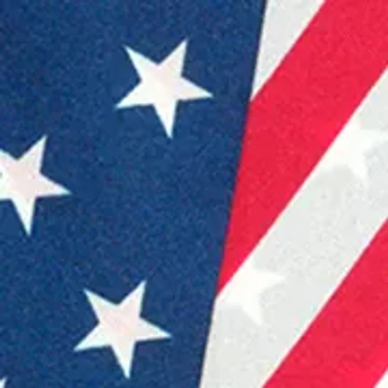 Stars and Stripes Silk Ribbon Scarf
