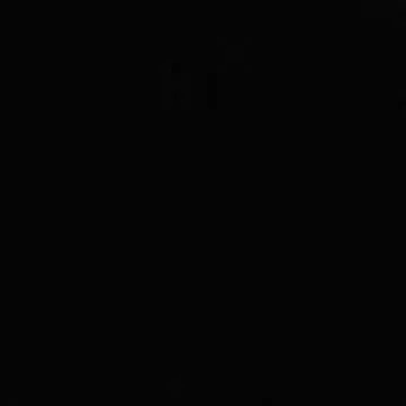 Essential Flap Card Case with Charm