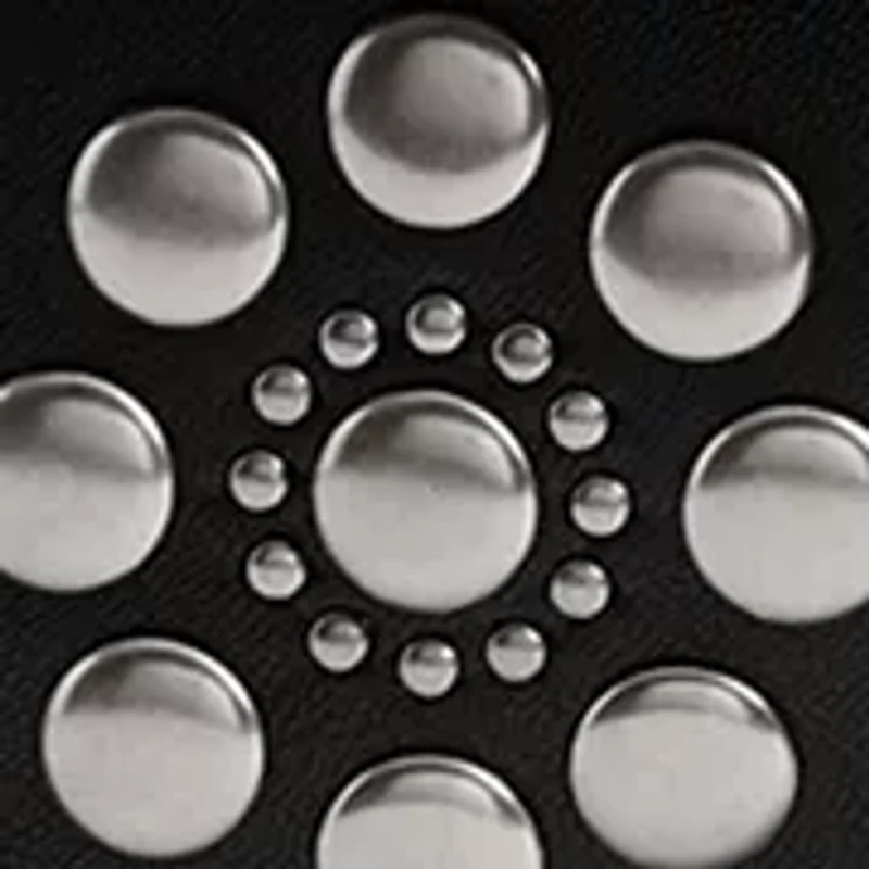 Tabby Shoulder Bag 26 with Western Rivets