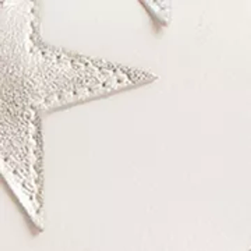  Star Appliqué Natural Grain Tabby Shoulder Bag