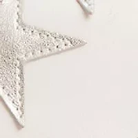  Star Appliqué Natural Grain Tabby Shoulder Bag