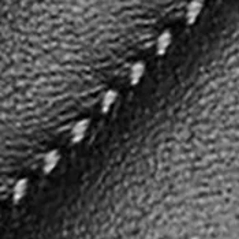 Essential Quilted Pillow Leather Card Case