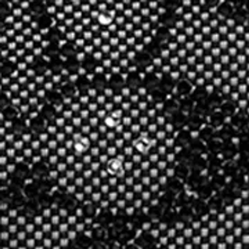 Hamptons Hobo Bag Crystal Signature Jacquard