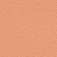 Essential New York Zip Card Case