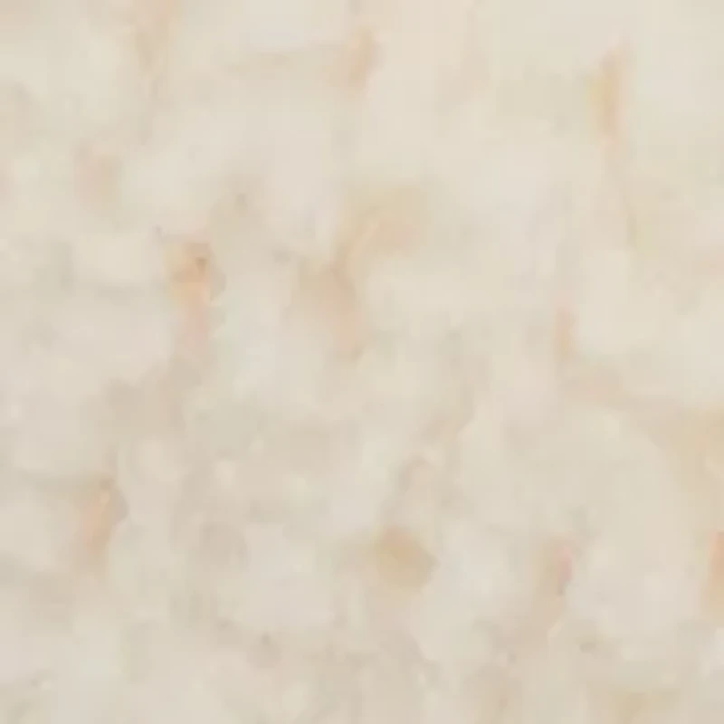 Candace Teddy Close Back Slippers