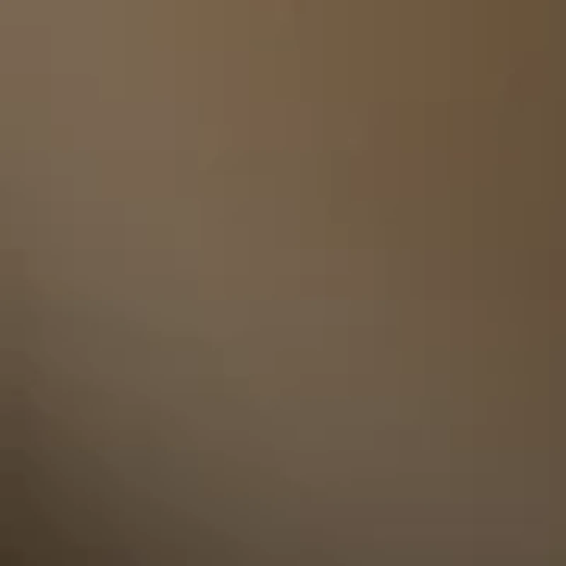 Silk Reflections Plus Control Top Enhanced Toe Pantyhose