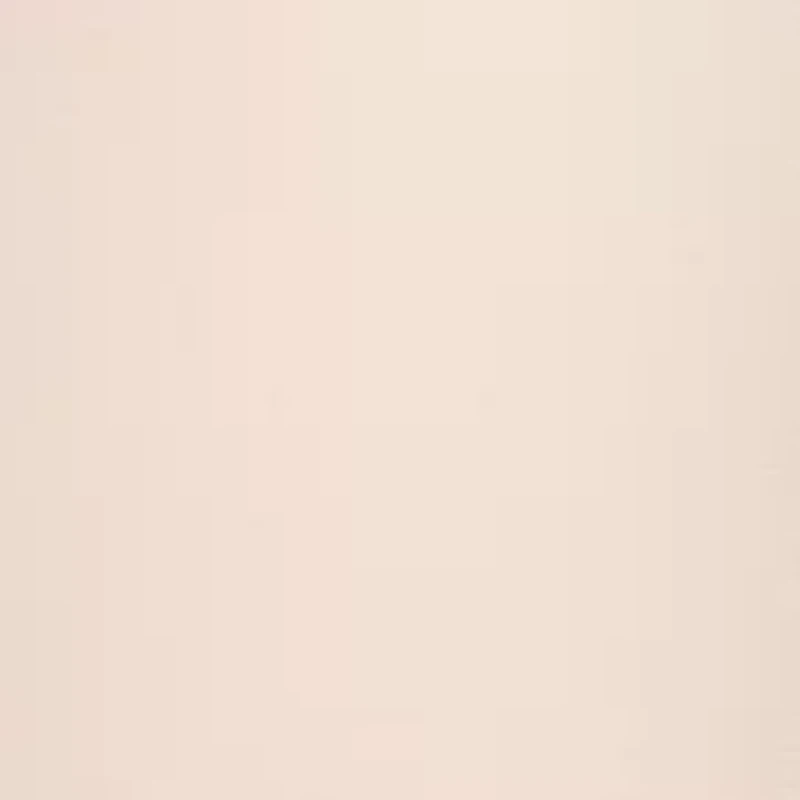 Silk Reflections Plus Control Top Enhanced Toe Pantyhose