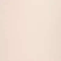 Silk Reflections Plus Control Top Enhanced Toe Pantyhose