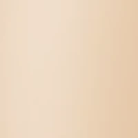 Silk Reflections Plus Control Top Enhanced Toe Pantyhose