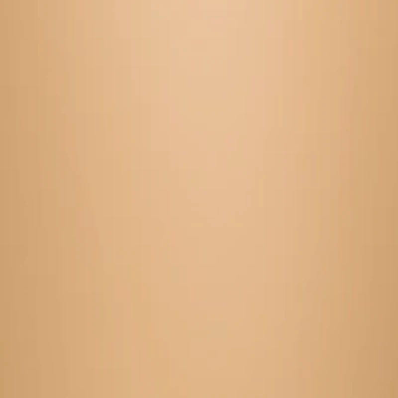 Silk Reflections Plus Control Top Enhanced Toe Pantyhose