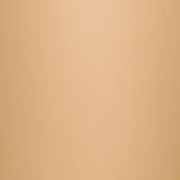 Silk Reflections Plus Control Top Enhanced Toe Pantyhose