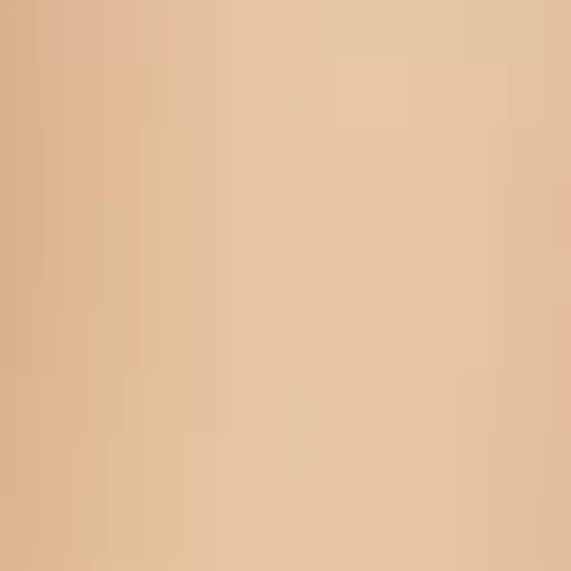 Silk Reflections Plus Control Top Enhanced Toe Pantyhose