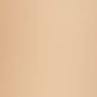 Silk Reflections Plus Control Top Enhanced Toe Pantyhose