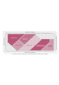 Silk Reflections Plus Control Top Enhanced Toe Pantyhose