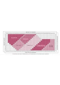 Absolute Ultra Sheer Plus Control Top Pantyhose