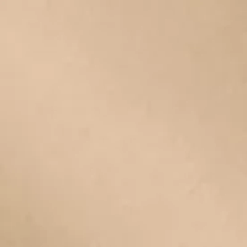 Silk Reflections High Waist Control Top Pantyhose