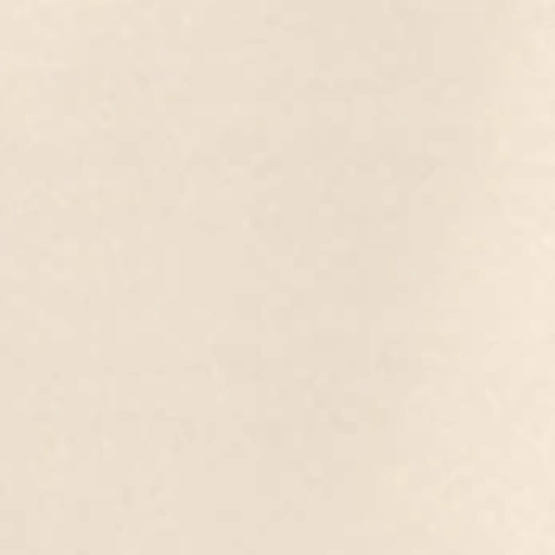 Absolutely Ultra Sheer Pantyhose