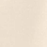 Absolutely Ultra Sheer Pantyhose