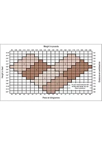 Absolutely Ultra Sheer Pantyhose