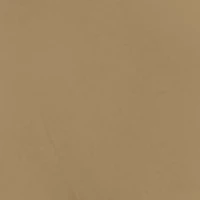 Silk Reflections Control Top Reinforced Toe Pantyhose