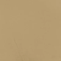 Silk Reflections Control Top Reinforced Toe Pantyhose
