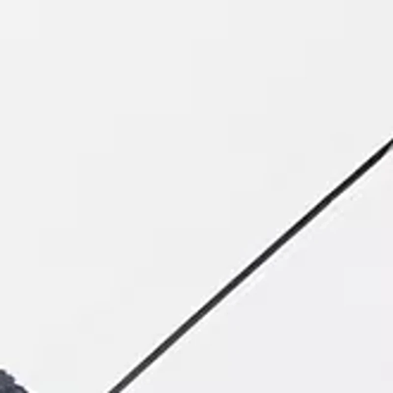 Ultra Clear Auto Open Umbrella