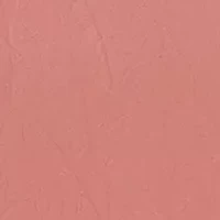 Women's Washed Shoulder Bag