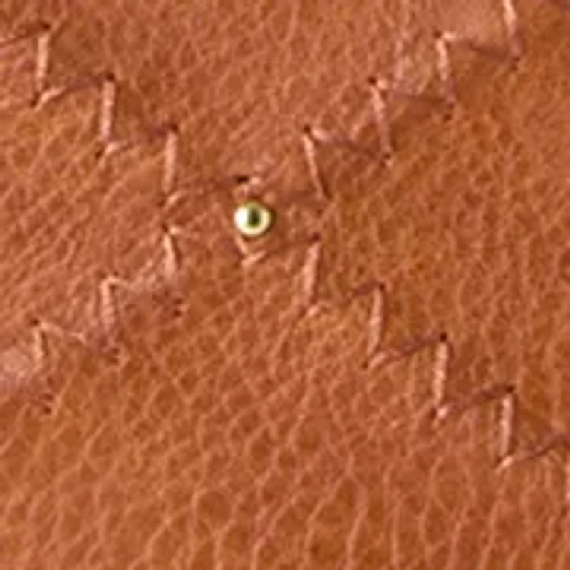 Pacifica Stud Detail Tote