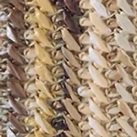 Straw Striped Shoulder Bag