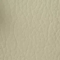 Whipstitch Detail Tote