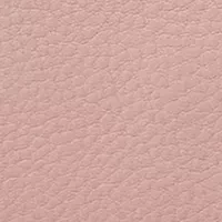 Cass Crossbody