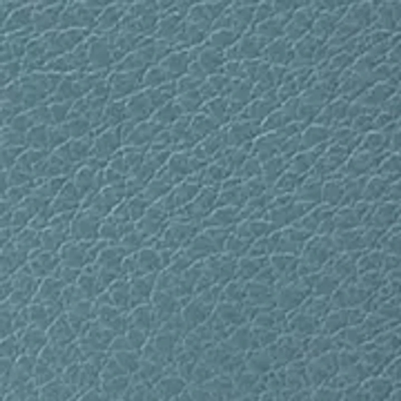 Cass Phone Crossbody