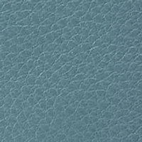 Cass Phone Crossbody