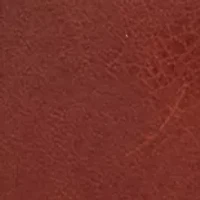 Expedition Phone Crossbody 