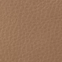 Starr Convertible Shoulder Bag