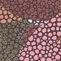 Lauren Clutch-Wallet