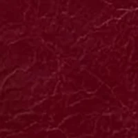 Ring Credit Card Wristlet