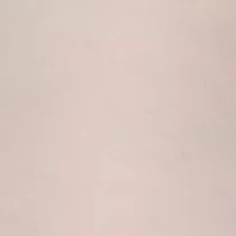 Queen Shimmers Pantyhose