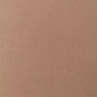 Queen Shimmers Pantyhose