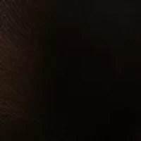 Queen Silky Control Top Pantyhose with Reinforced Toe