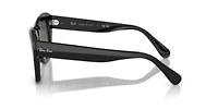 RB2186 State Street Sunglasses